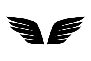 Vector of Wings: A Practical Embroidery Design Review